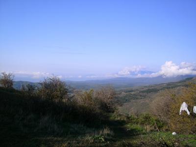 g15-i469.jpg