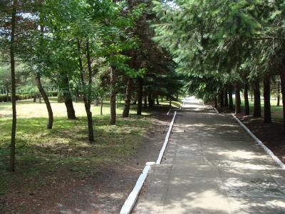 g17-i648.jpg